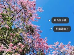 -火炉山森林公园