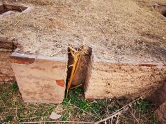 -汉长安城未央宫国家考古遗址公园