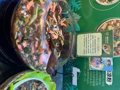 -爱伲牛肉火锅自助(景洪店)