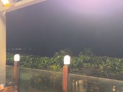 -渔家火锅·海鲜自助餐·演艺(亚龙湾天域酒店)