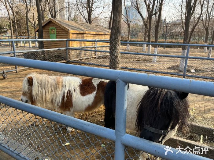 长白岛森林公园图片