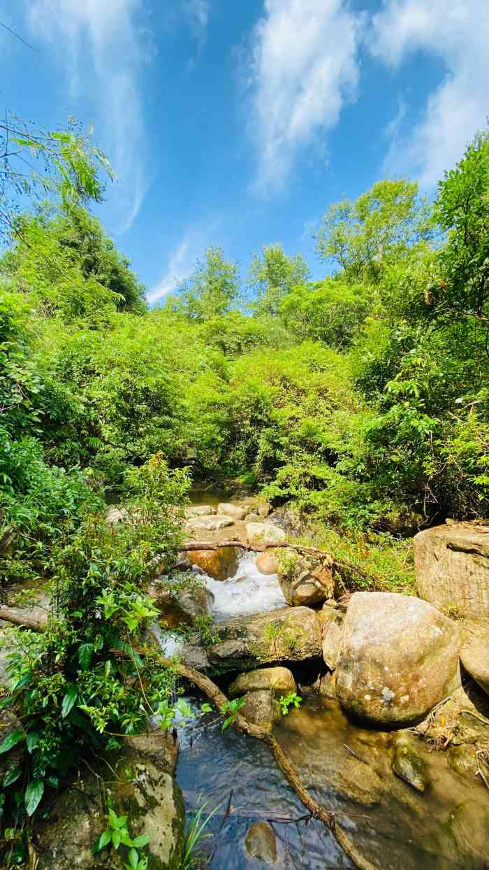 云髻山景区-"在新丰县"西莲寺"参加的传灯活动,祈愿新.