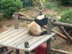 -大连森林动物园