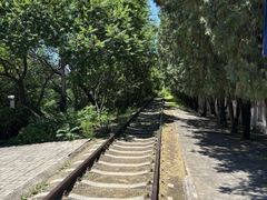 -府君山公园