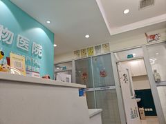 -美迦爱-动物医院·骨科·牙科·夜诊(朝阳路诊疗中心)