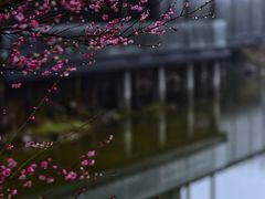 -木守西溪溪隐餐厅