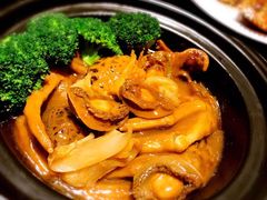 -皇朝会.经典传统粤菜(外滩店)