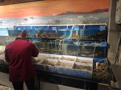 水产区-77号·蒸海鲜青岛菜(积米崖店)