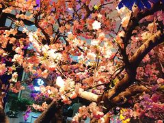 -绿茶餐厅(首开福茂店)