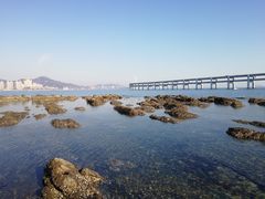 景点-黑石礁公园