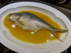 鸡油花雕蒸鲥鱼-惠食佳·朱雀(东方商厦店)