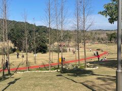 -牛岗山公园