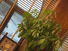 -文涵小院·邻里厨房