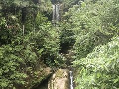 -鹿院坪生态旅游景区