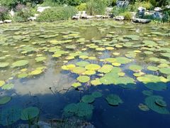 -北京园博大酒店