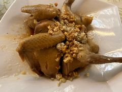 -百利鸽王(紫薇路店)