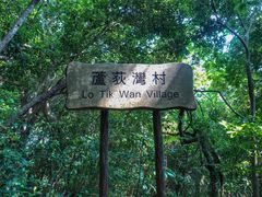 -南丫岛