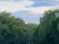 -北陵公园