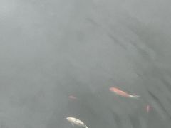 -宝通禅寺