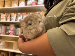 -龙猫仔乐园(惠福东路店)