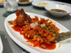 松子桂鱼-红城阁·上海味道(四平路店)
