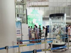 -首都机场t3-c国航两舱休息室