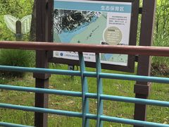 -吴淞炮台湾湿地森林公园烧烤区