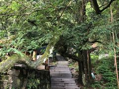 -藏龙百瀑风景区