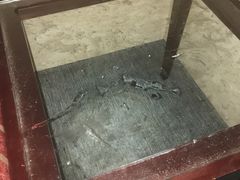 -上海圣淘沙万怡酒店