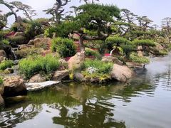 -罗红摄影艺术馆