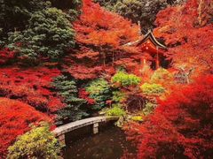 -醍醐寺