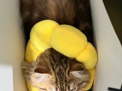 -深圳珠宝博物馆