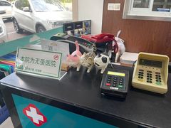 -顺强宠物诊所·狂犬免疫·夜诊·骨科(嘉定店)