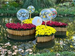 -上海共青森林公园