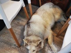 -小时光咖啡馆(北锣鼓巷店)