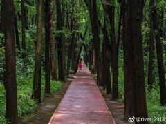 -同里国家湿地公园