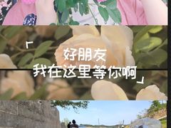 -黄河小浪底水利枢纽风景区