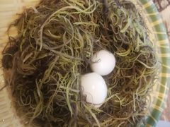 -文昌小老弟糟粕醋