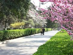 -陕西师范大学(雁塔校区)