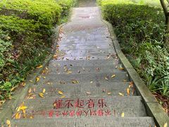 -重庆园博园