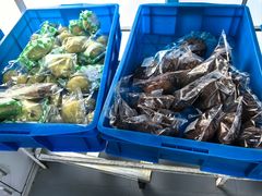 -来噻布布 Lets BUBU