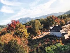 -塔川景区