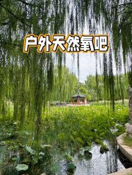 -宝馨月月子中心(友谊医院店)