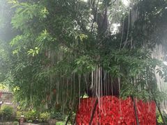 -磁器口古镇