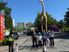 -西霞口神雕山野生动物世界