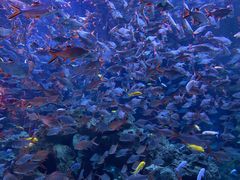 -成都浩海立方海洋公园