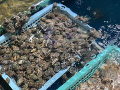 -鑫悦楼煎蟹·16年海鲜大排档