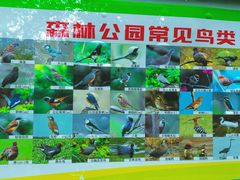 -昆山城市生态森林公园