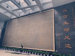 -中国地质大学逸夫博物馆