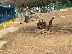 -西安秦岭野生动物园